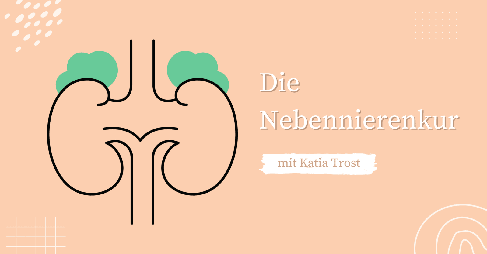 Jetzt geht’s an die Nieren! – Die Nebennierenkur