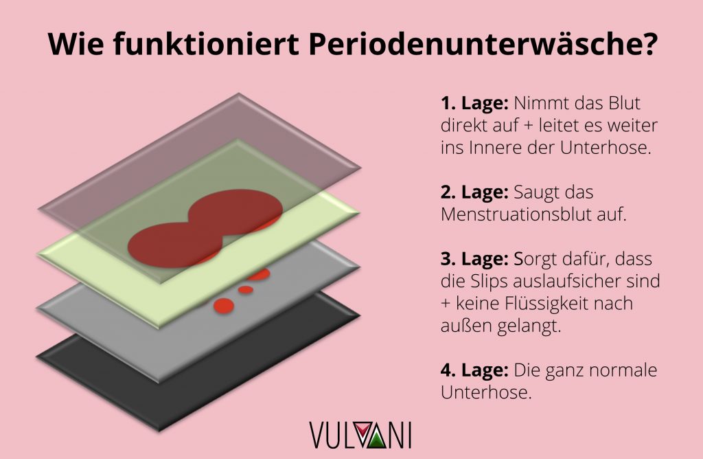 Period underwear: The alternative to tampons and pads - Vulvani